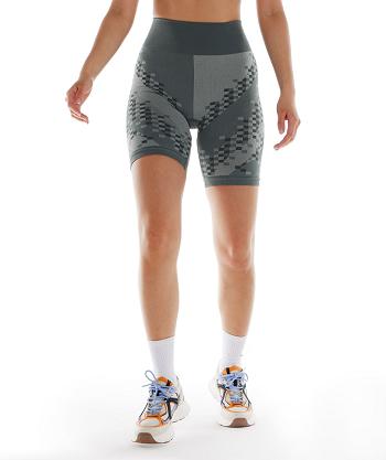 Dámské Šortky Gymshark Wtflex Cyborg Seamless Cycling Šedé Černé Světle Šedé | CZ 3876GSO